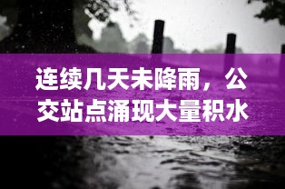 连续几天未降雨，公交站点涌现大量积水，市民出行公交车遭遇'水困'问题急需解决 v2.9.4下载